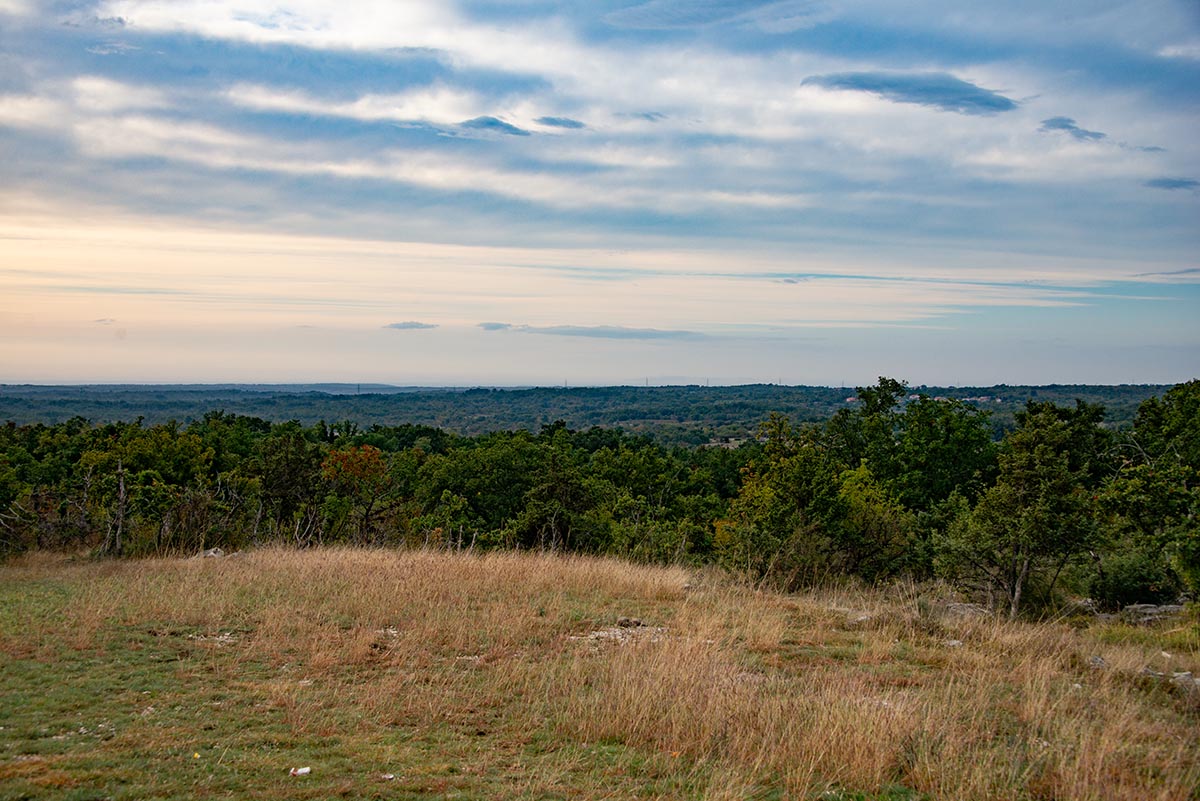 Panorama